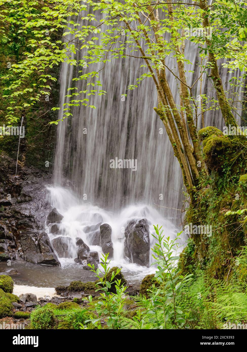 Woodland waterfall hi-res stock photography and images - Alamy