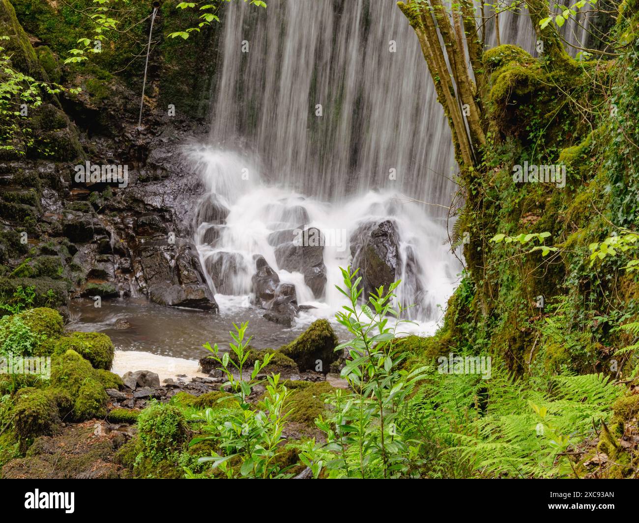 Woodland waterfall hi-res stock photography and images - Alamy