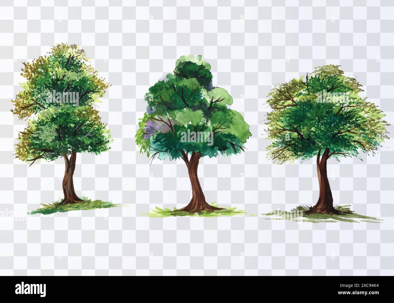 Set of various watercolor trees on transparent background Stock Vector