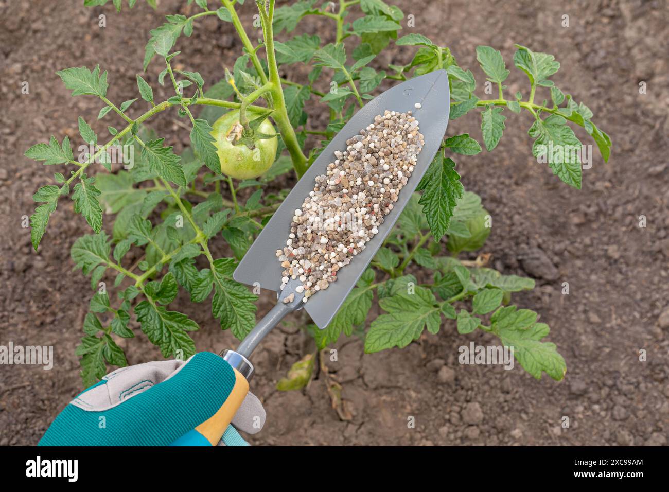 Fertilizer plant hi-res stock photography and images - Alamy