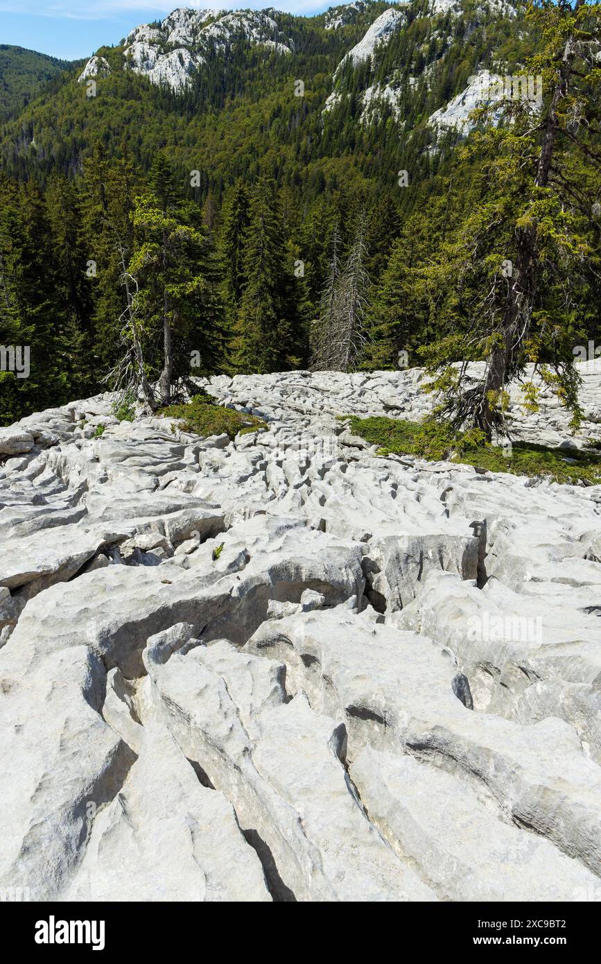 Karst erosion limestone rocks hi-res stock photography and images - Alamy