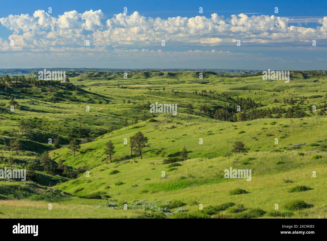 alkali creek basin in the charles m. russell national wildlife refuge