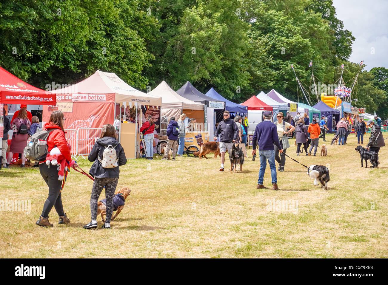 Powderham, UK. 15th June, 2024. Dog lovers descend on Powderham Castle