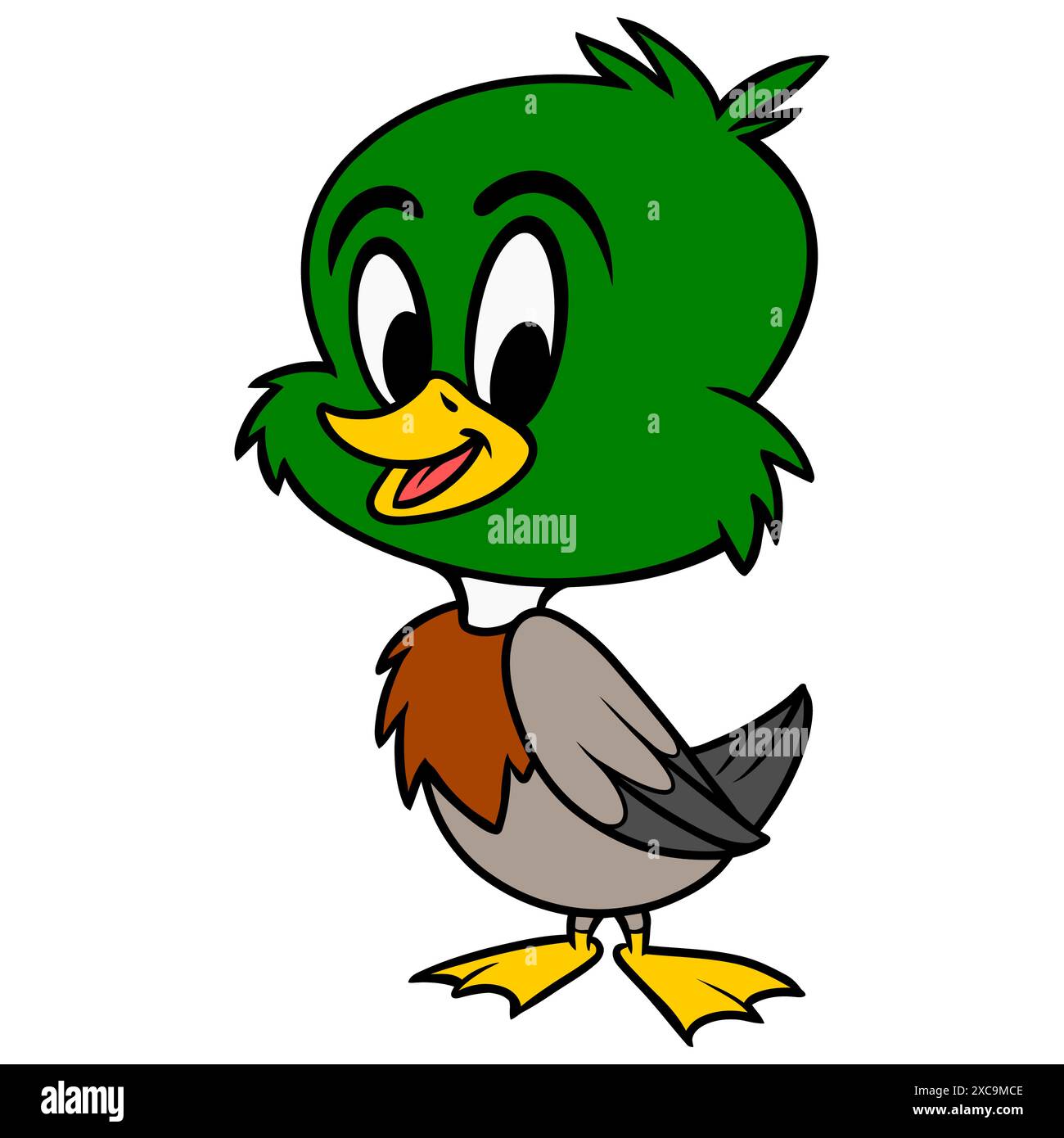 Mallard Duck - A cartoon illustration of a Mallard Duck Stock Vector ...