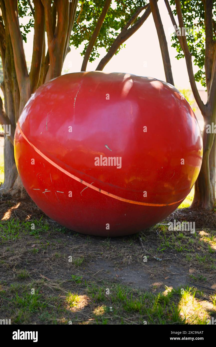 Tomato art in Crystal Springs, Mississippi Stock Photo - Alamy