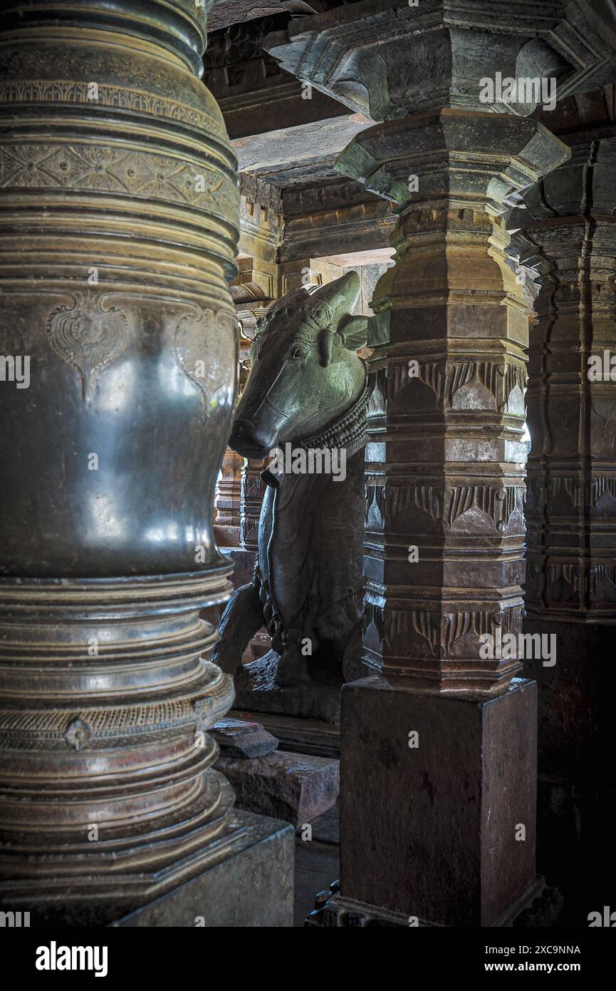 06 04 2014 Vintage Old Nandi at Nritya mantapa Madhukeshwara temple, Banavasi.  Ratha Beedi, Banavasi, Karnataka India Asia. Stock Photo