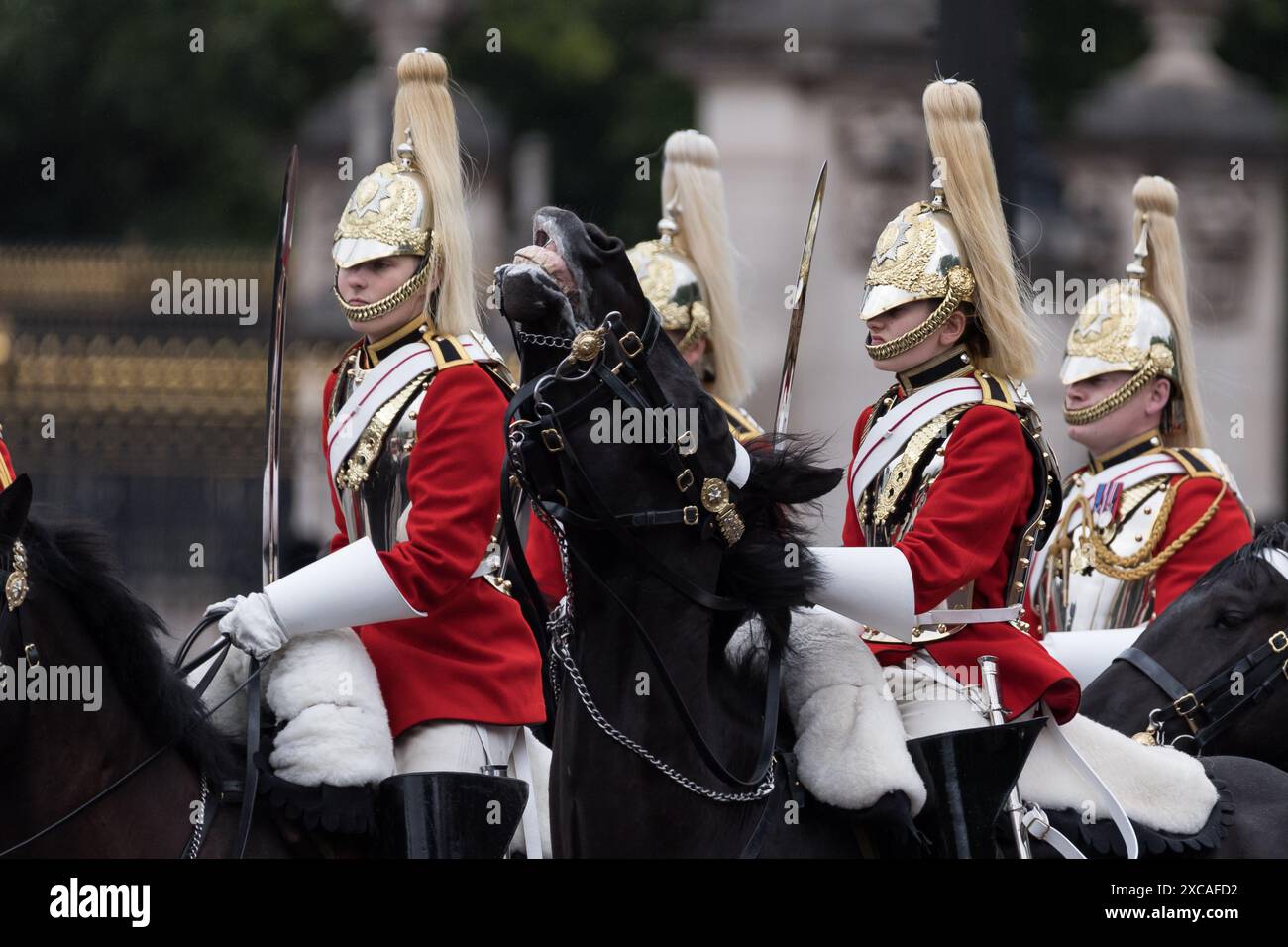 London UK 15th June 2024 Members Of The Life Guards Household London UK 15th June 2024 Members Of The Life Guards Household