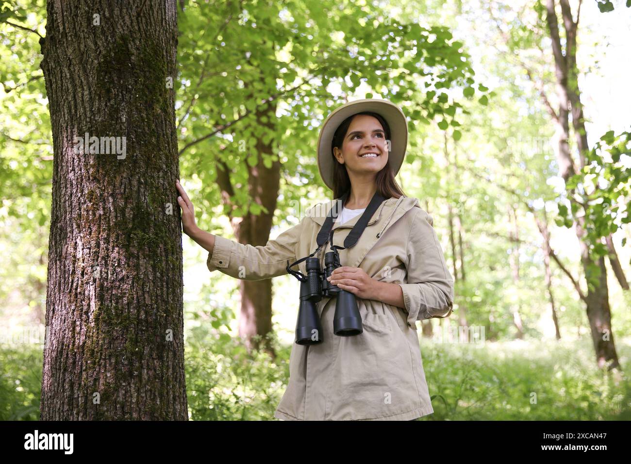 Forester with binoculars examining plants in forest Stock Photo