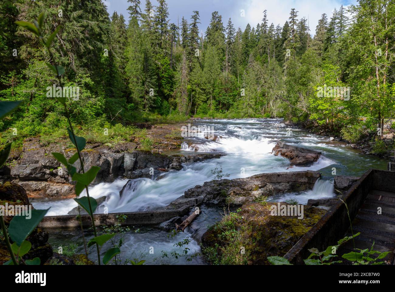 Port Alberni CAN, Kanada / Canada, Urlaubseindruecke und ...