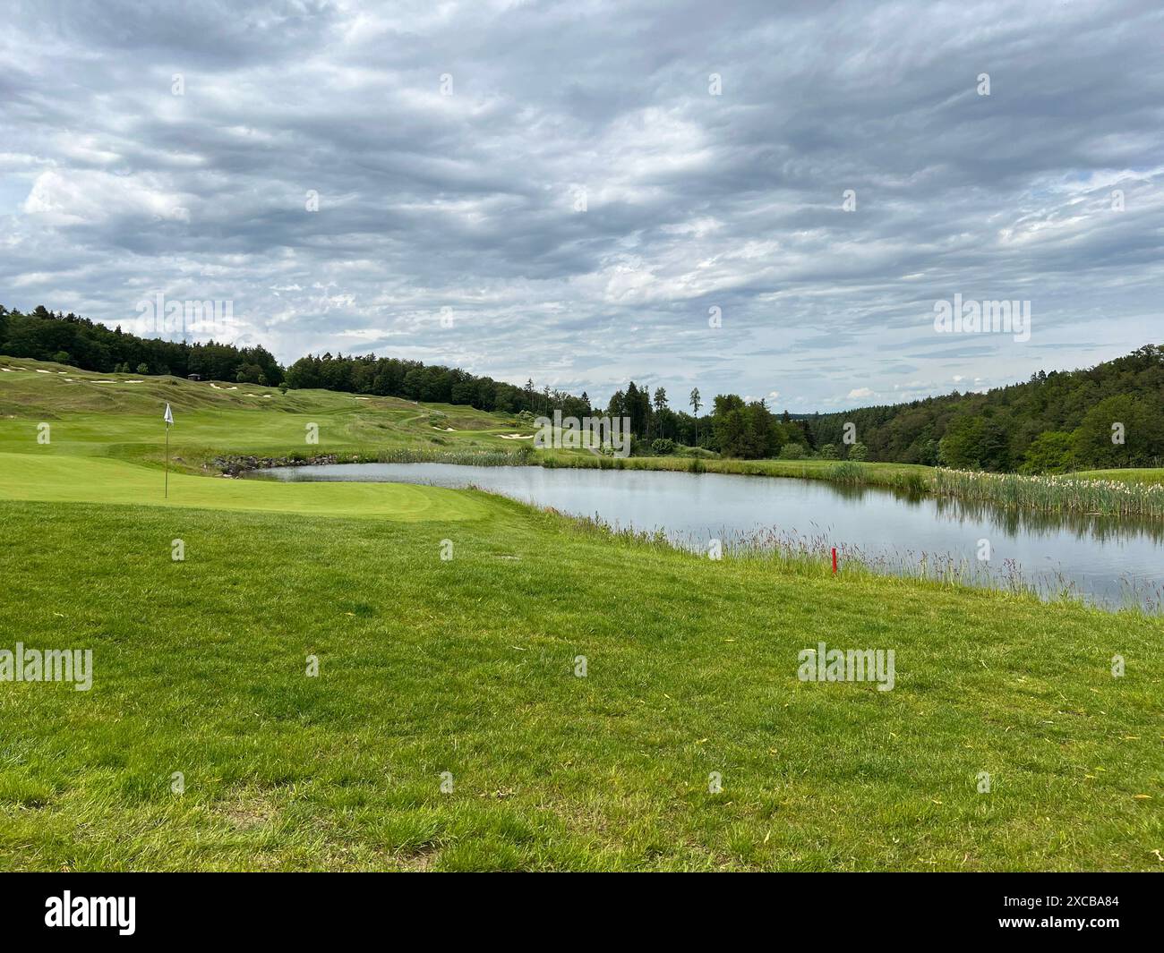 Xcba Biotope Gewässer Sichern: Biotope In Der Schweiz – DYTOO