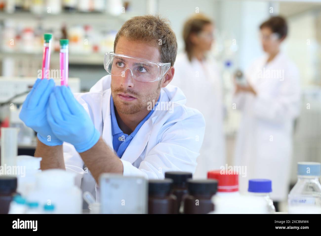 Biological comparison hi-res stock photography and images - Alamy