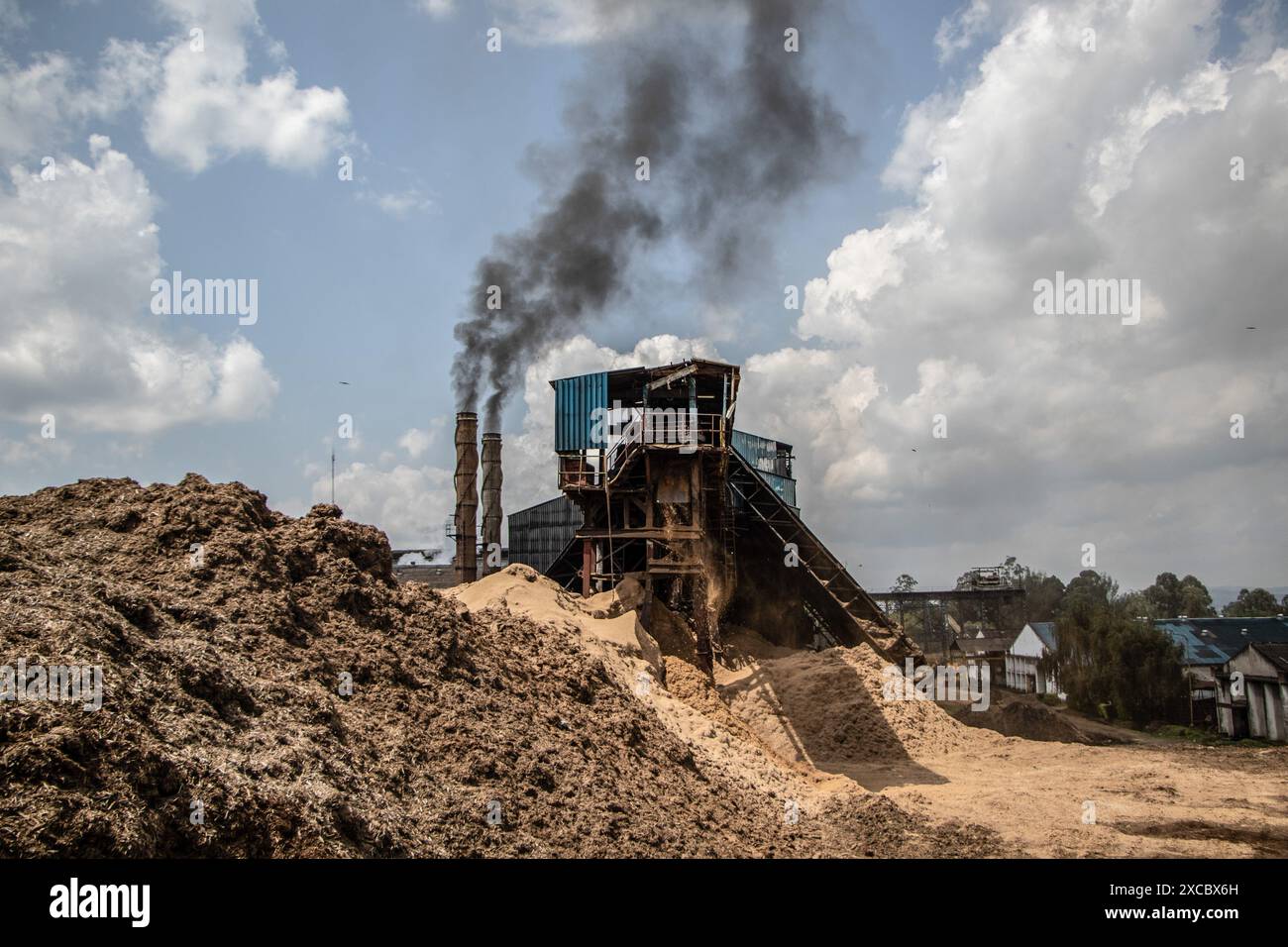 General View Of A Heap Of Bagasse The Residual Fiber From Sugarcane general-view-of-a-heap-of-bagasse-the-residual-fiber-from-sugarcane