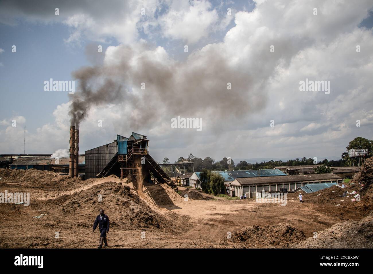 A Man Walks Past A Heap Of Bagasse The Residual Fiber From Sugarcane a-man-walks-past-a-heap-of-bagasse-the-residual-fiber-from-sugarcane