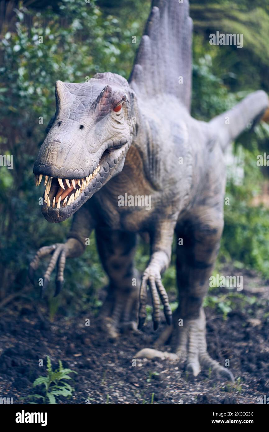 Spinosaurus was a fairly large animal and had large forelimbs armed ...