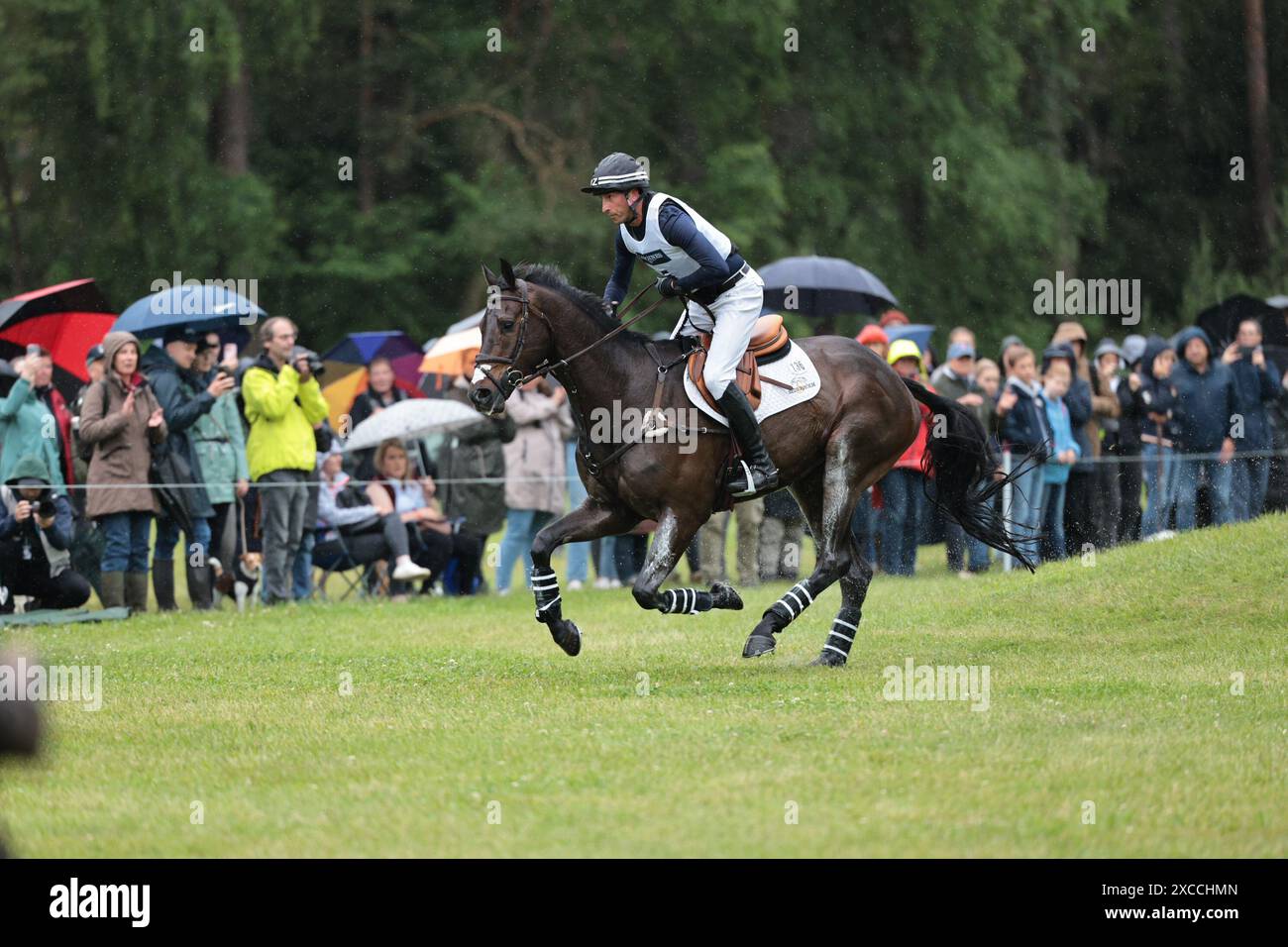 Luhmuhlen, Germany. 15th June 2024. Tim Price of New Zealand with Viscount Viktor during the