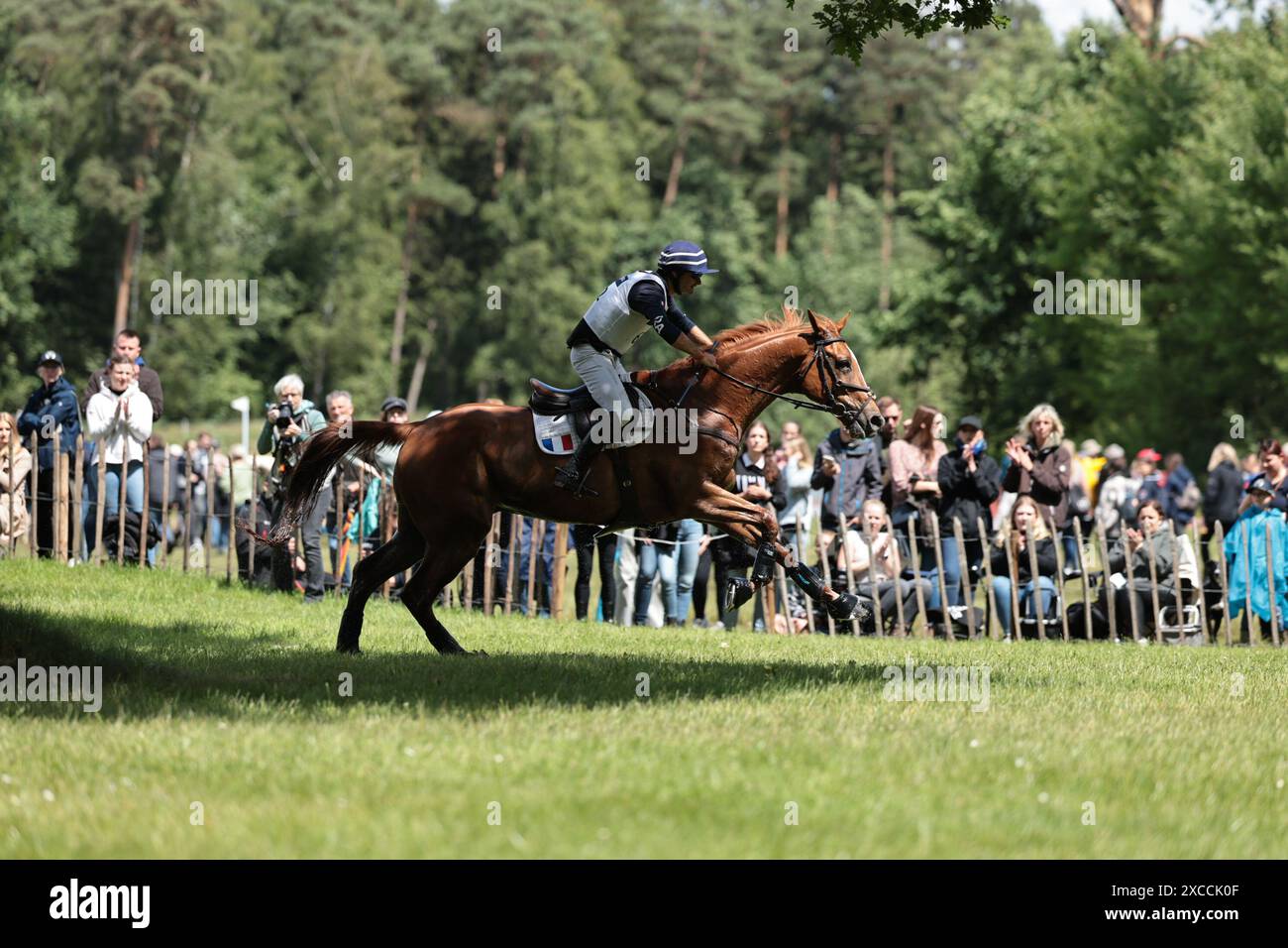 Luhmuhlen, Germany. 15th June 2024. Benjamin Massie of France with Figaro Fonroy during the CCI4
