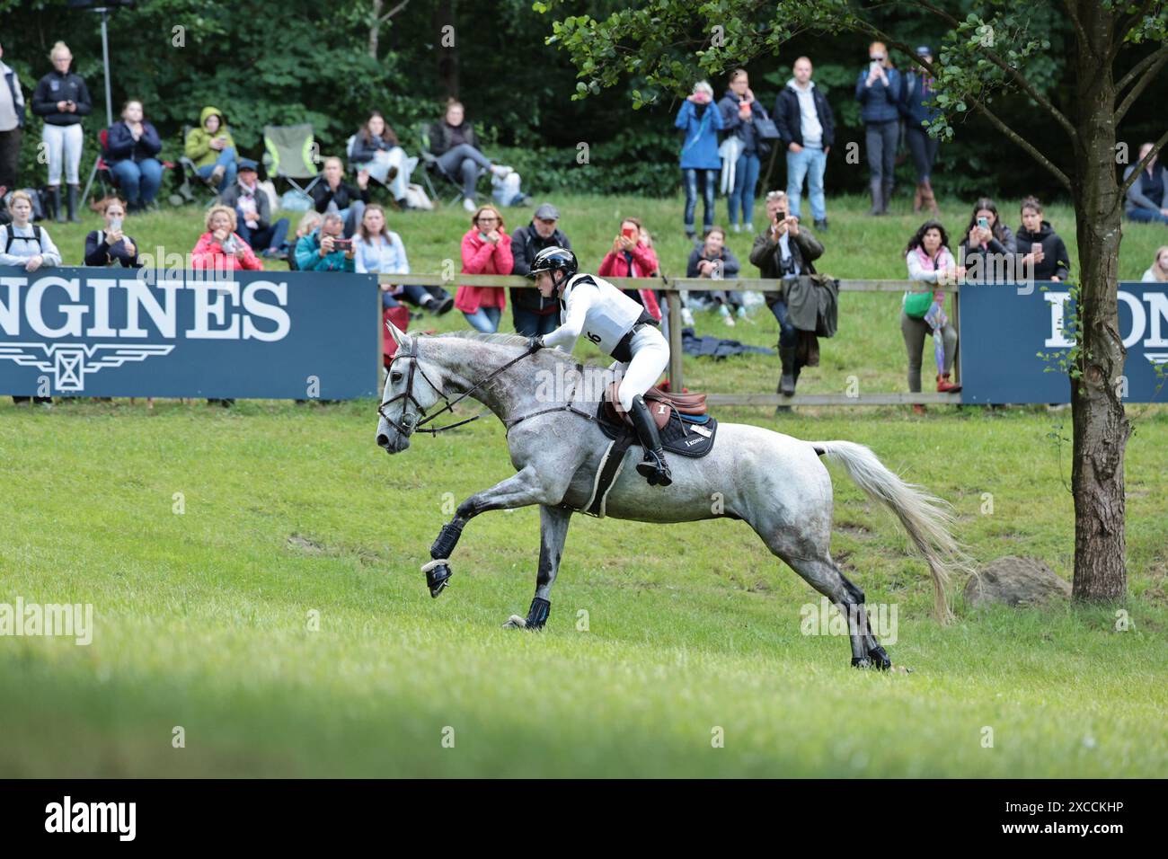Luhmuhlen, Germany. 15th June 2024. Antonia Baumgart of Germany with Lamango during the CCI4