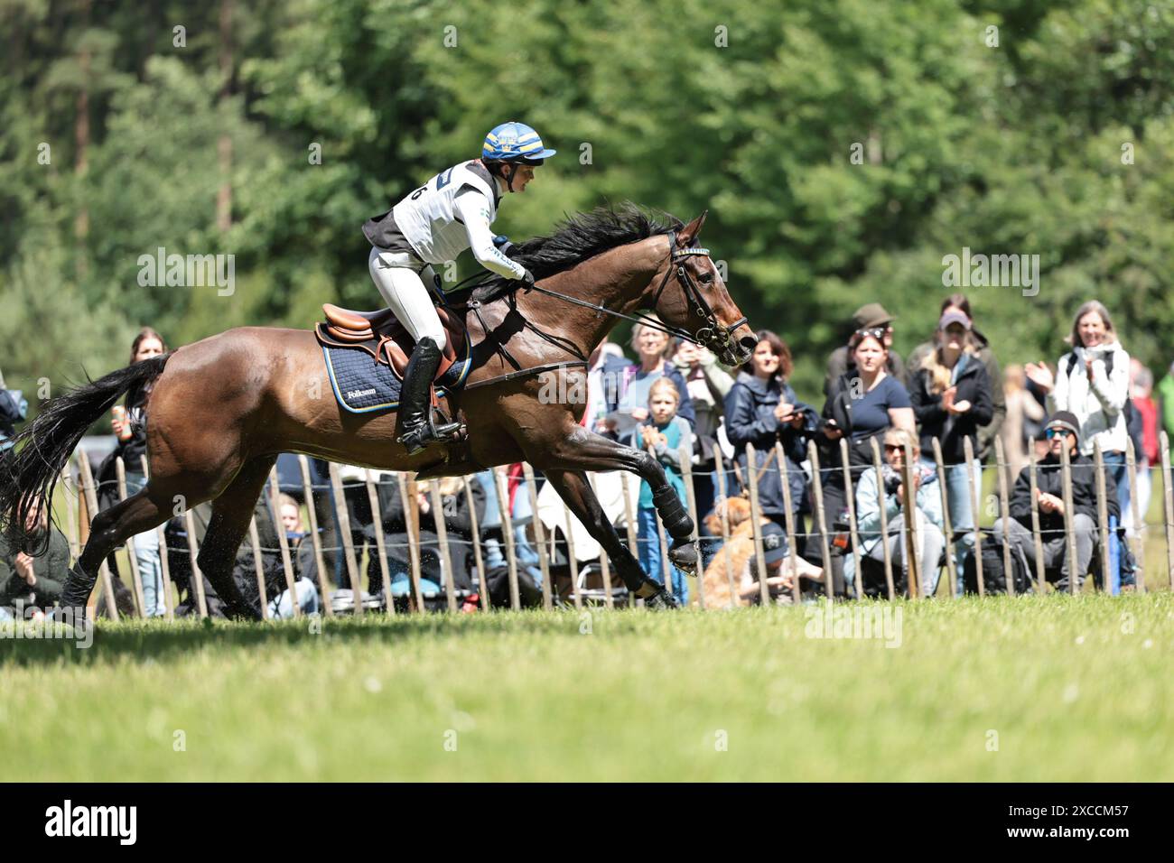Malin Asai of Sweden with Golden Midnight during the CCI4* cross