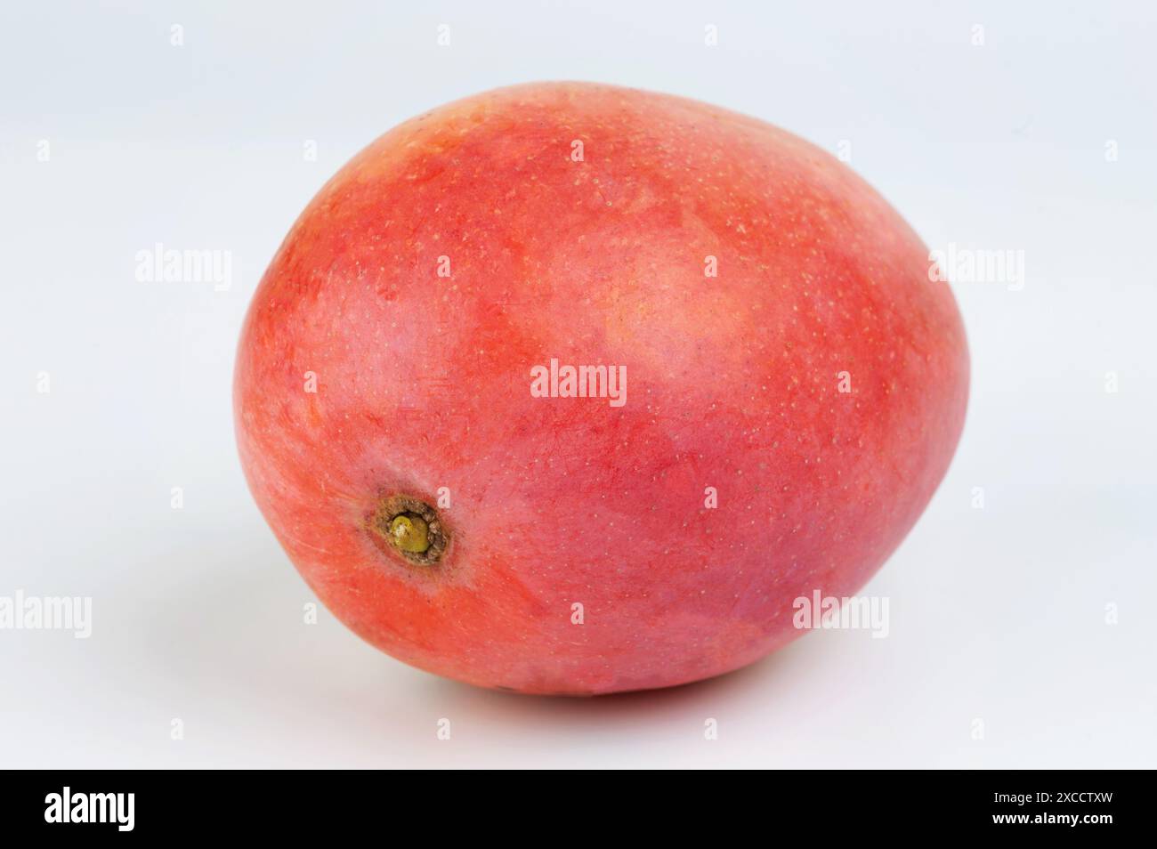 Sweet red mango fruit isolated on white studio background Stock Photo ...