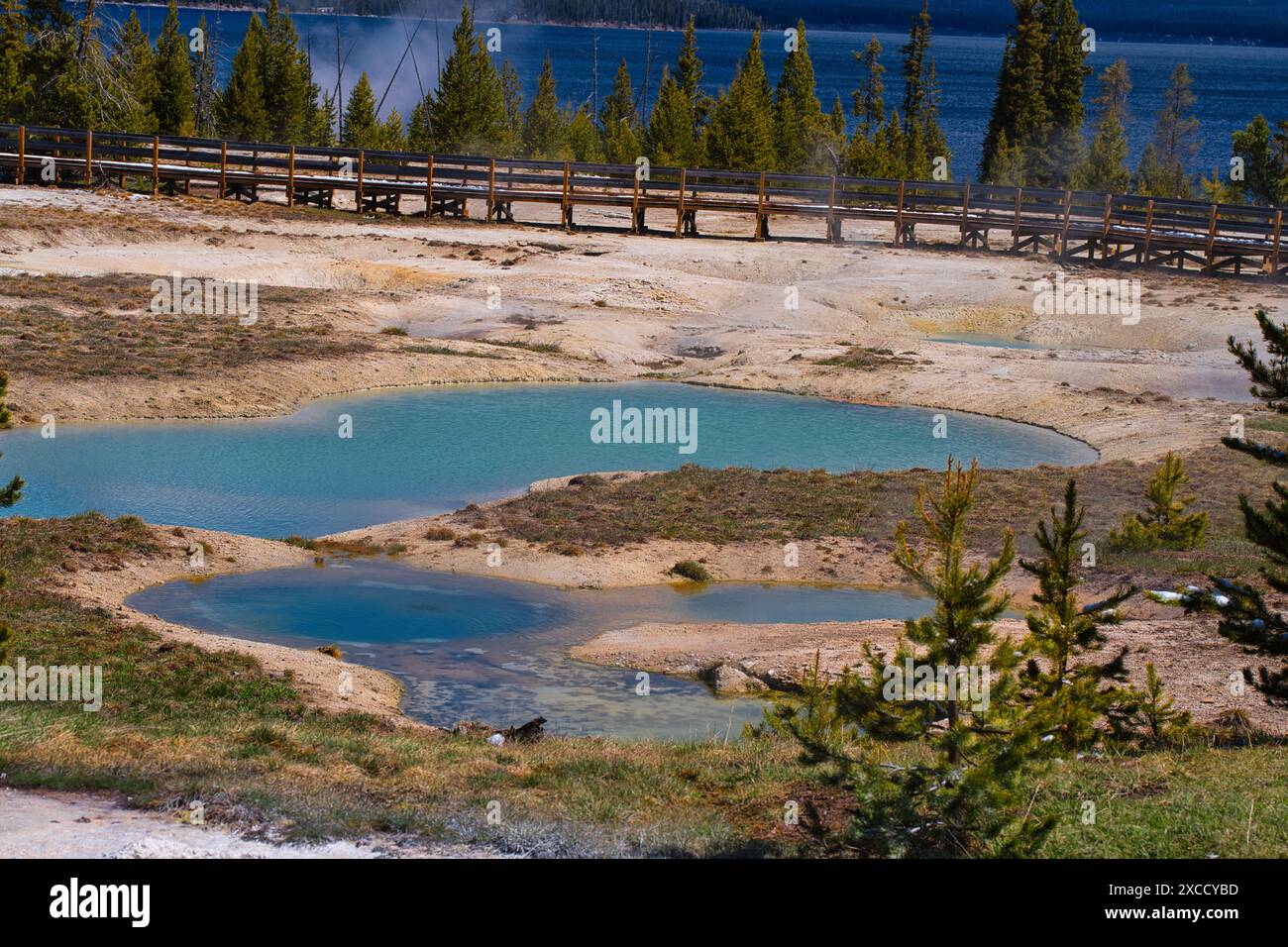 Geyers with color algae covering the rocks in Yellowstone park in Wyoming, USA Stock Photo