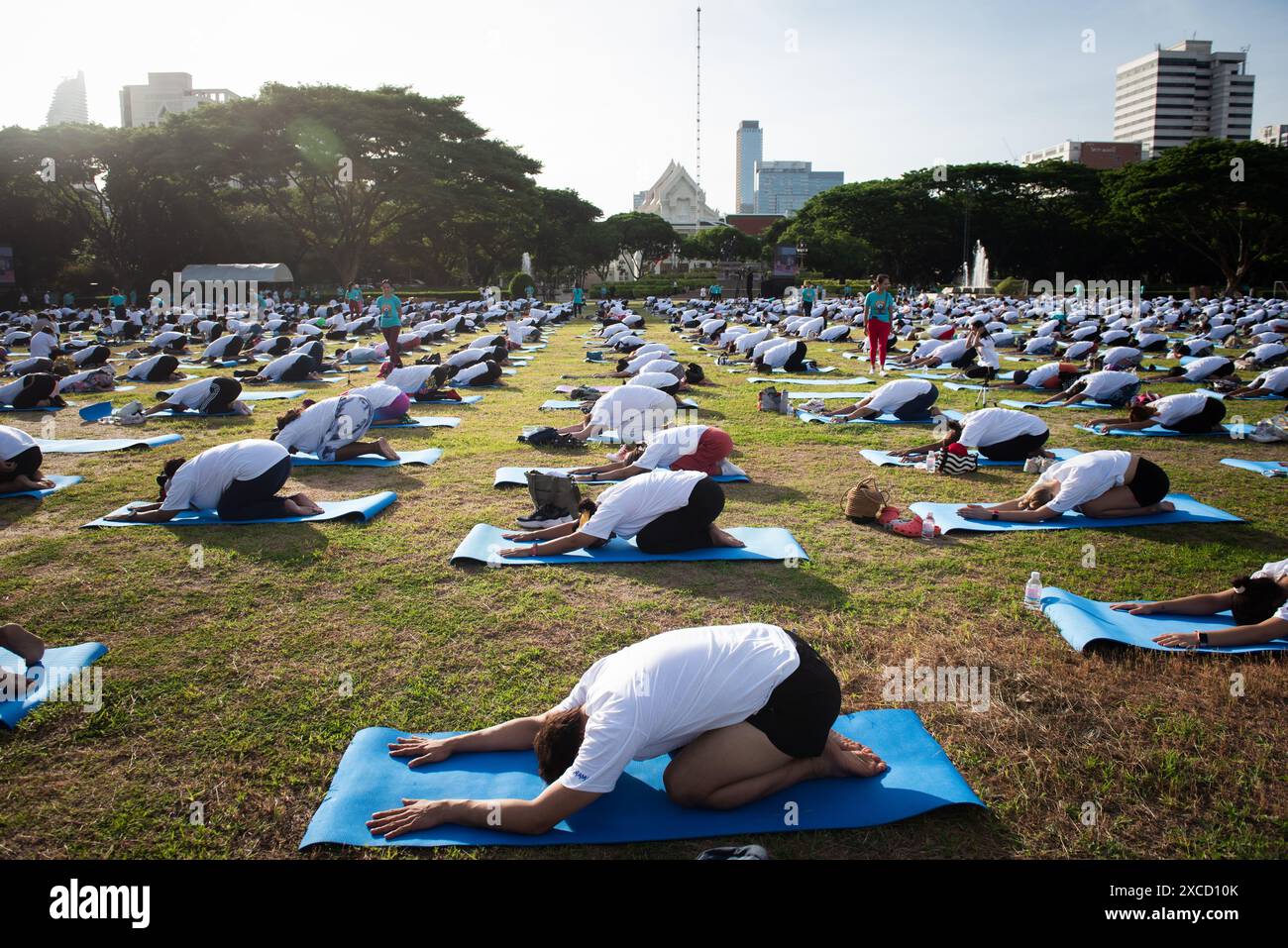 Yoga enthusiasts participate activity the International Day of Yoga