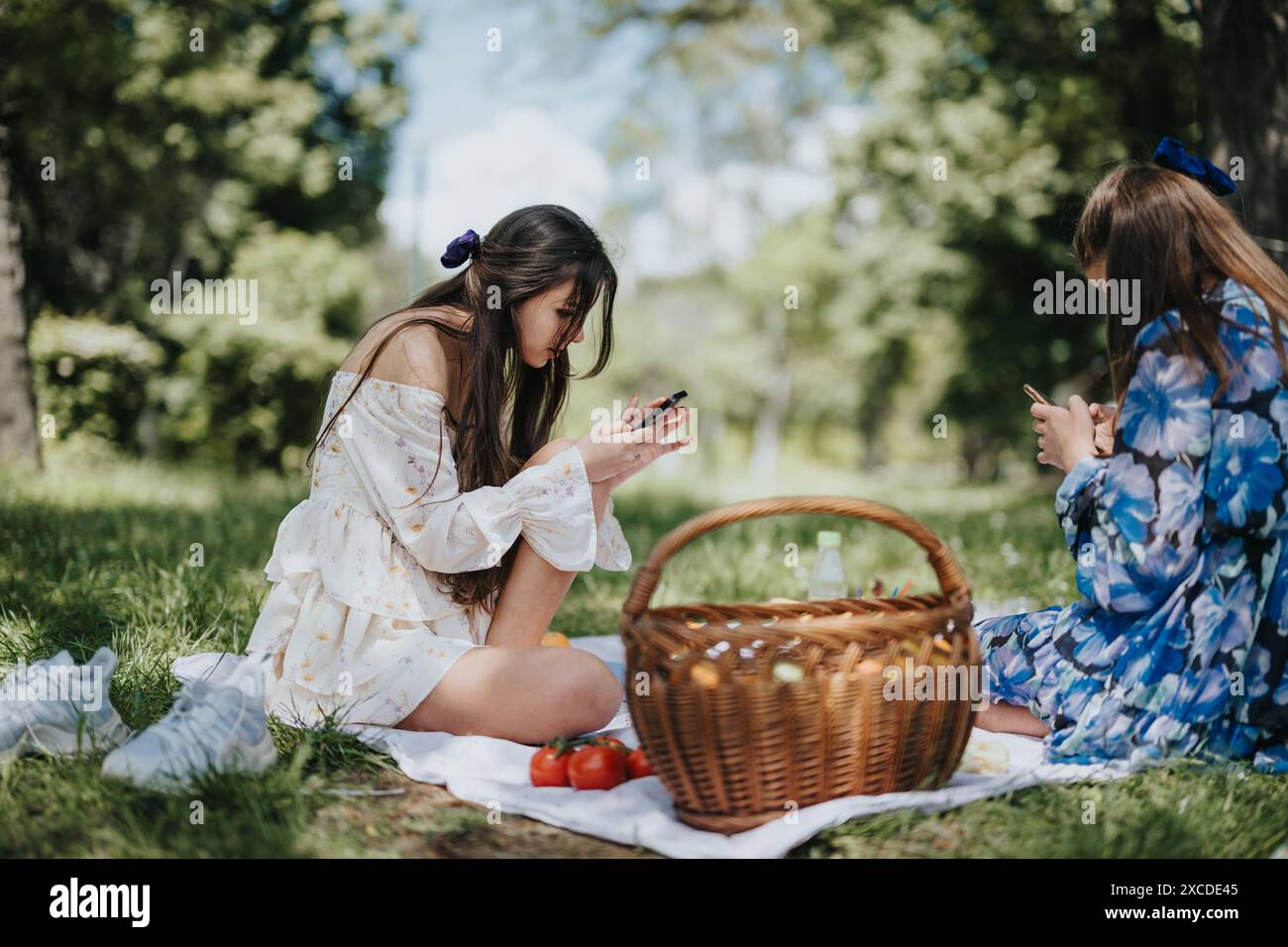 Sisters enjoying a peaceful picnic in the park, sharing moments and ...