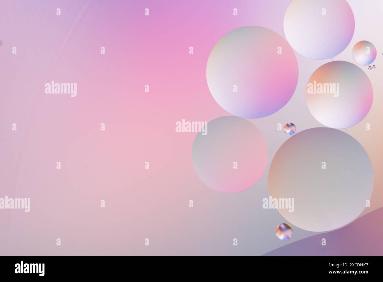 Circles in varying sizes on a pink and purple gradient background, creating an abstract, dreamy, and colorful pattern Stock Photo