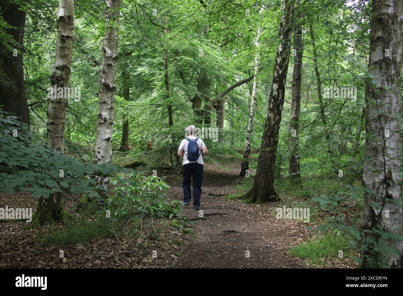 Rear view female trail hi-res stock photography and images - Alamy