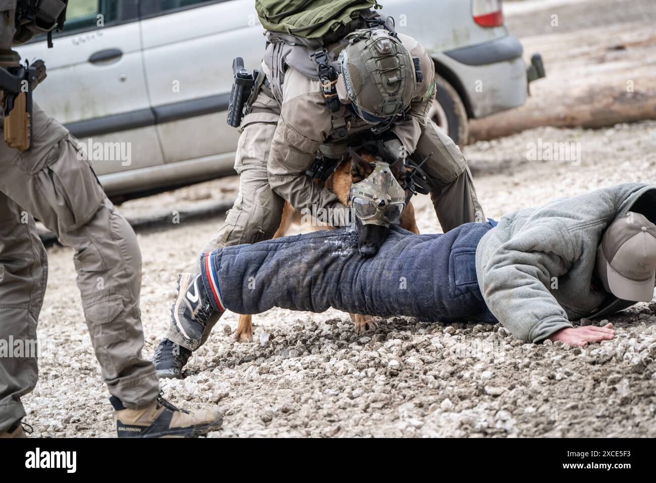 Eurosatory 2024 Rüstungsmesse Paris Frankreich Pre-Opening Press Day Präsentation der französischen Spezialeinheit GIGN Groupe d intervention de la gendarmerie nationale Polizeieinheit vergleichbar mit der deutschen GSG 9 Polizeihund der GIGN während der Demonstration der FähigkeitenEurosatory 2024 Rüstungsmesse Paris Frankreich Pre-Opening Press Day Präsentation der französischen Spezialeinheit GIGN Groupe d intervention de la gendarmerie nationale Polizeieinheit vergleichbar mit der deutschen GSG 9 Po, Villepinte Seine-Saint-Denis 93 France Parc des expositions Paris Nord *** Eurosatory 2024 Stock Photo