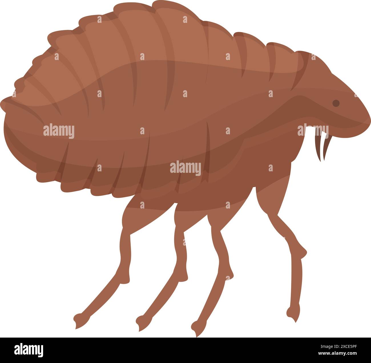 Flea walking side view showing its tiny hairs, icon illustration ...