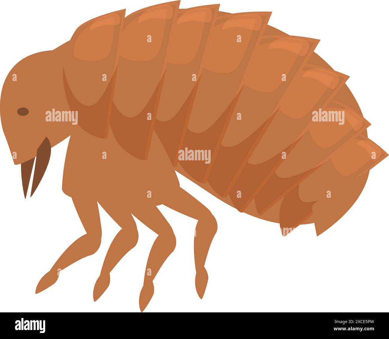 Flea insect walking and spreading disease through bite, annoying bug