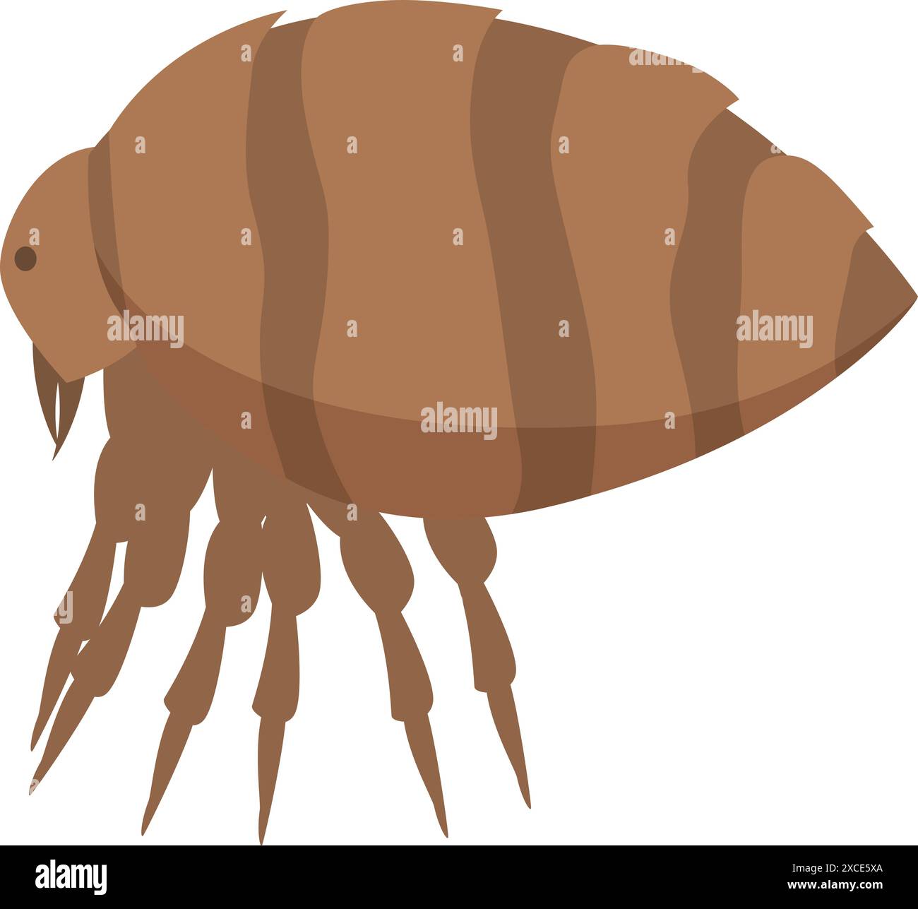 Flea insect walking with its six legs, a small parasite living on animals and sucking their blood Stock Vector