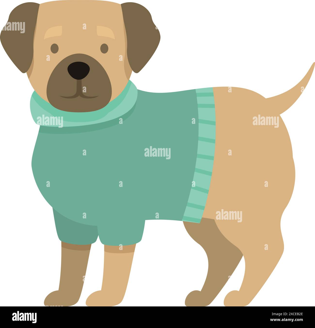 Cute pug dog wearing green sweater standing on white background Stock ...
