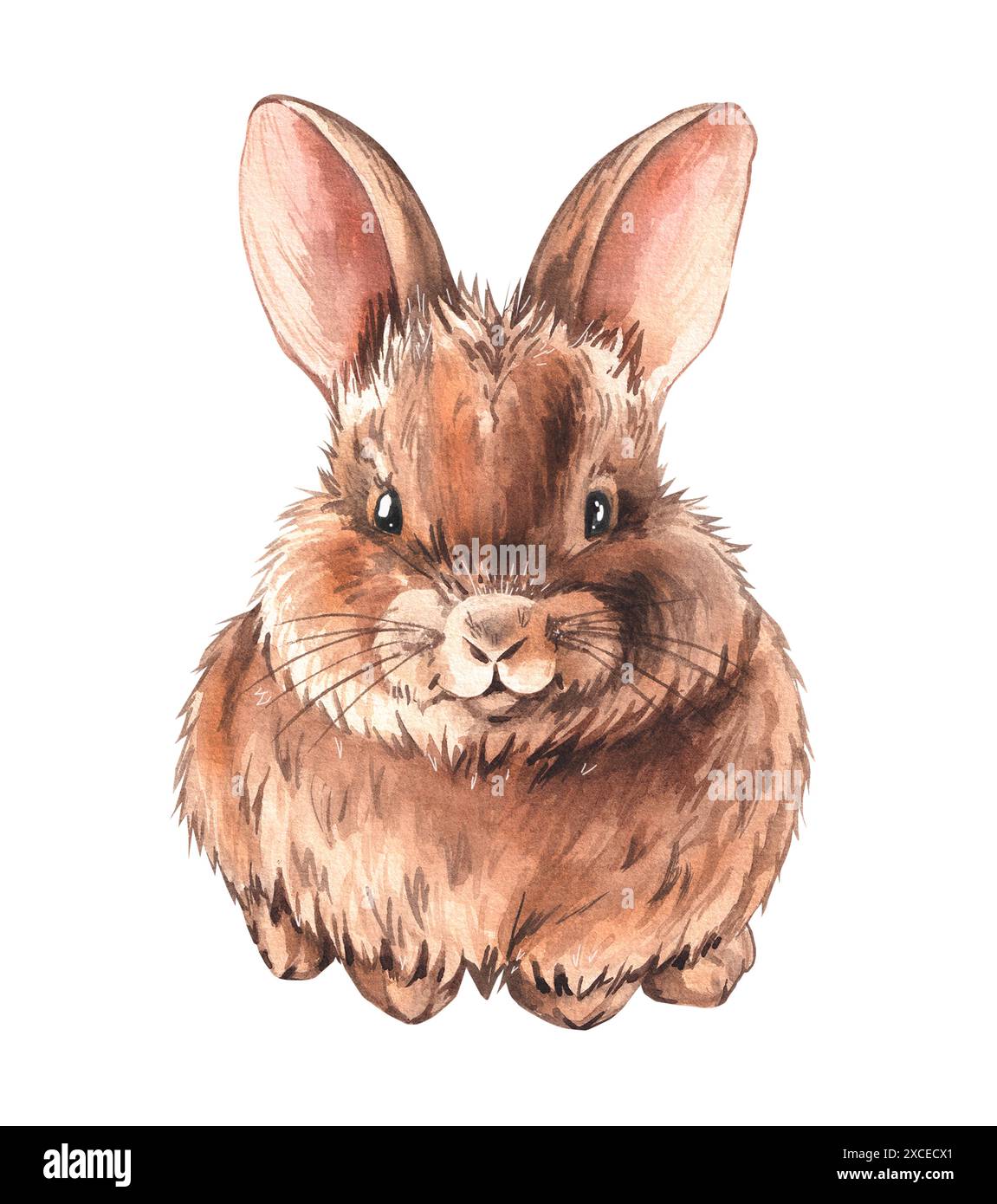 Watercolor brown rabbit. Watercolor bunny naturalistic fluffy cute for ...