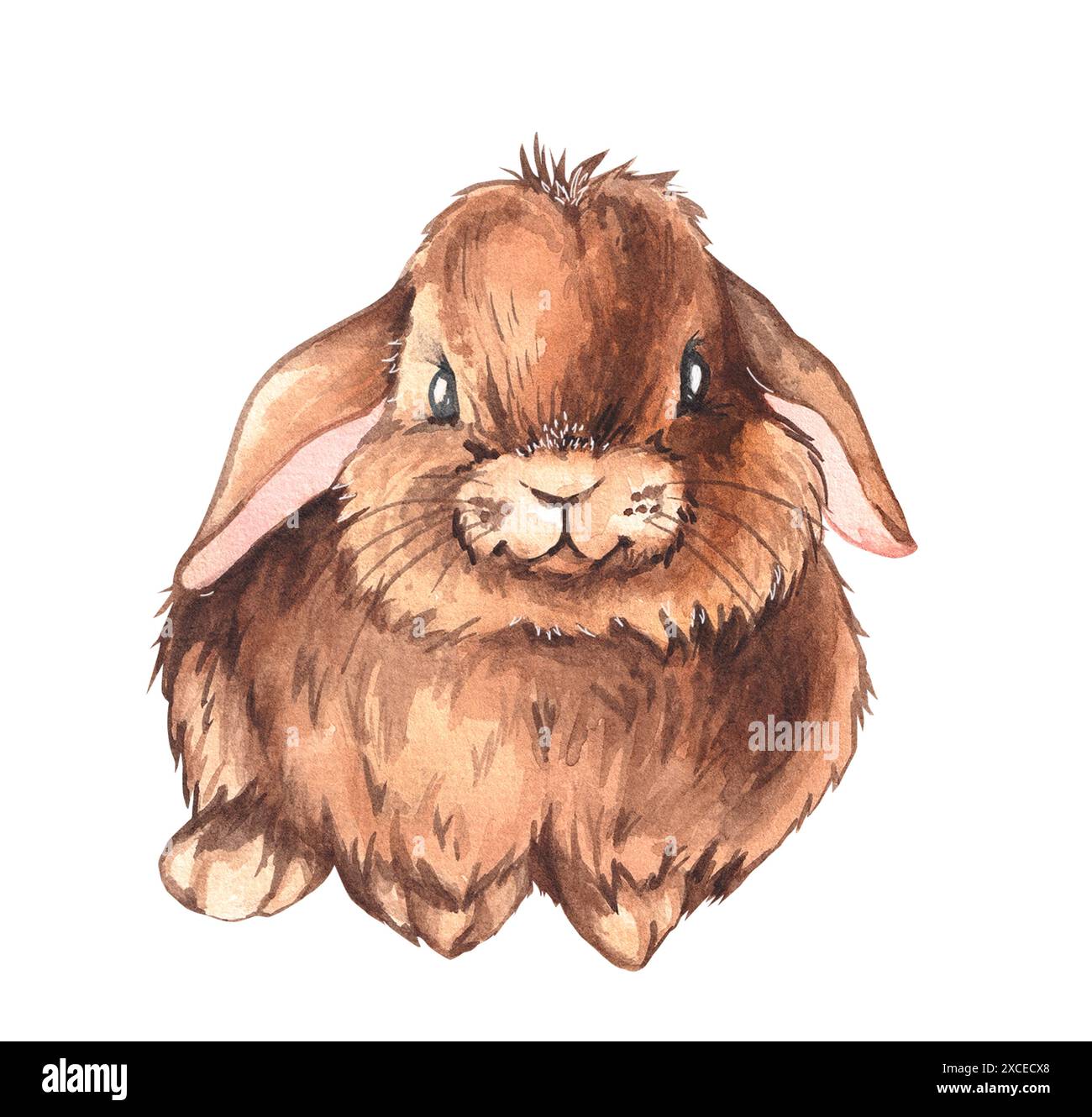 Watercolor brown rabbit. Watercolor bunny naturalistic fluffy cute for ...