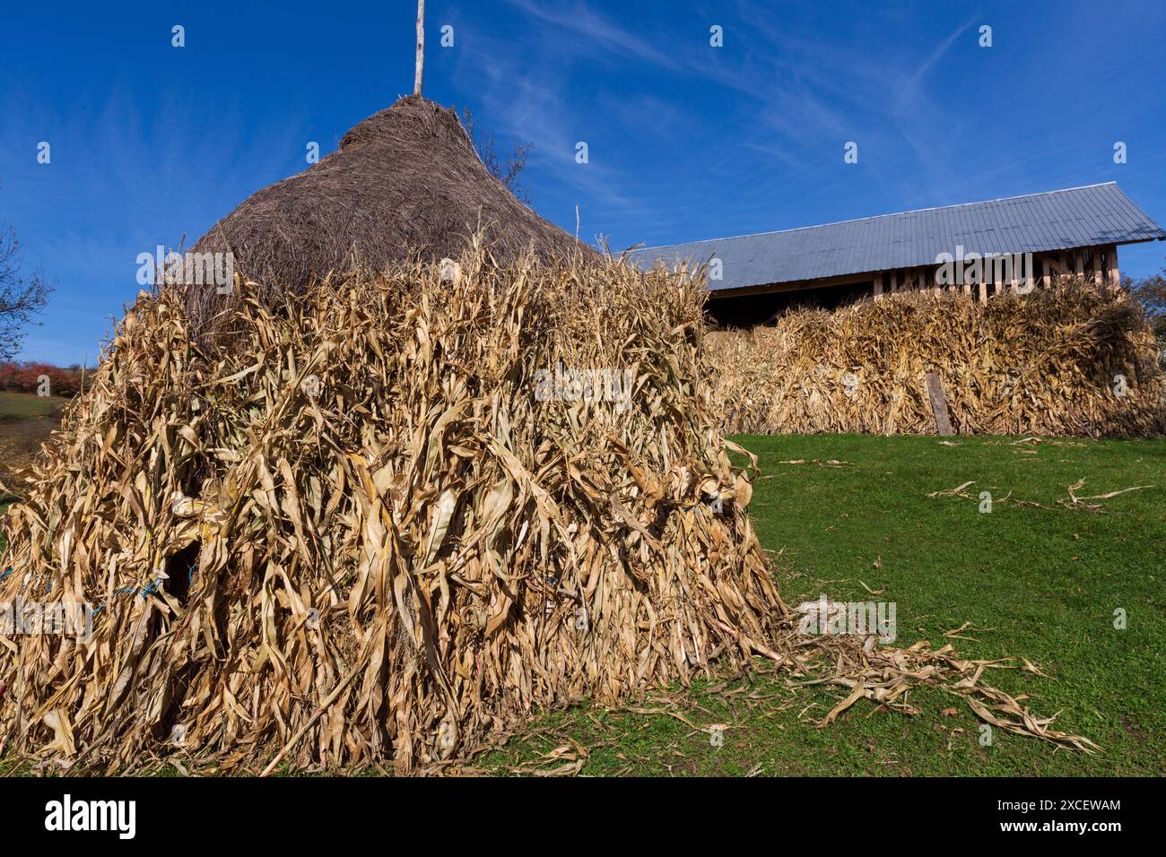 Romania Europe Romania Transylvania Aspra Traditional Hay Stacks 