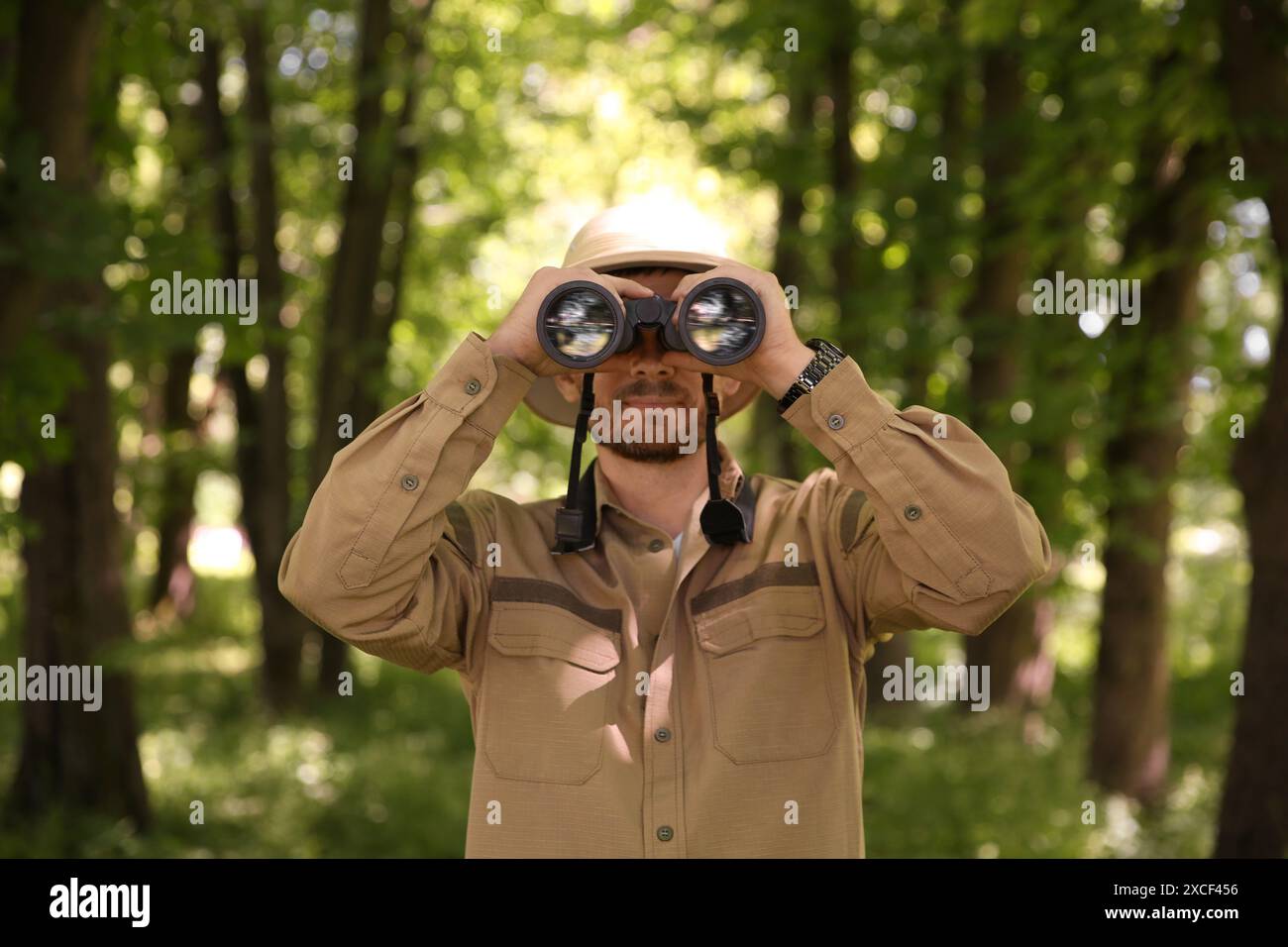 Forester with binoculars examining plants in forest Stock Photo