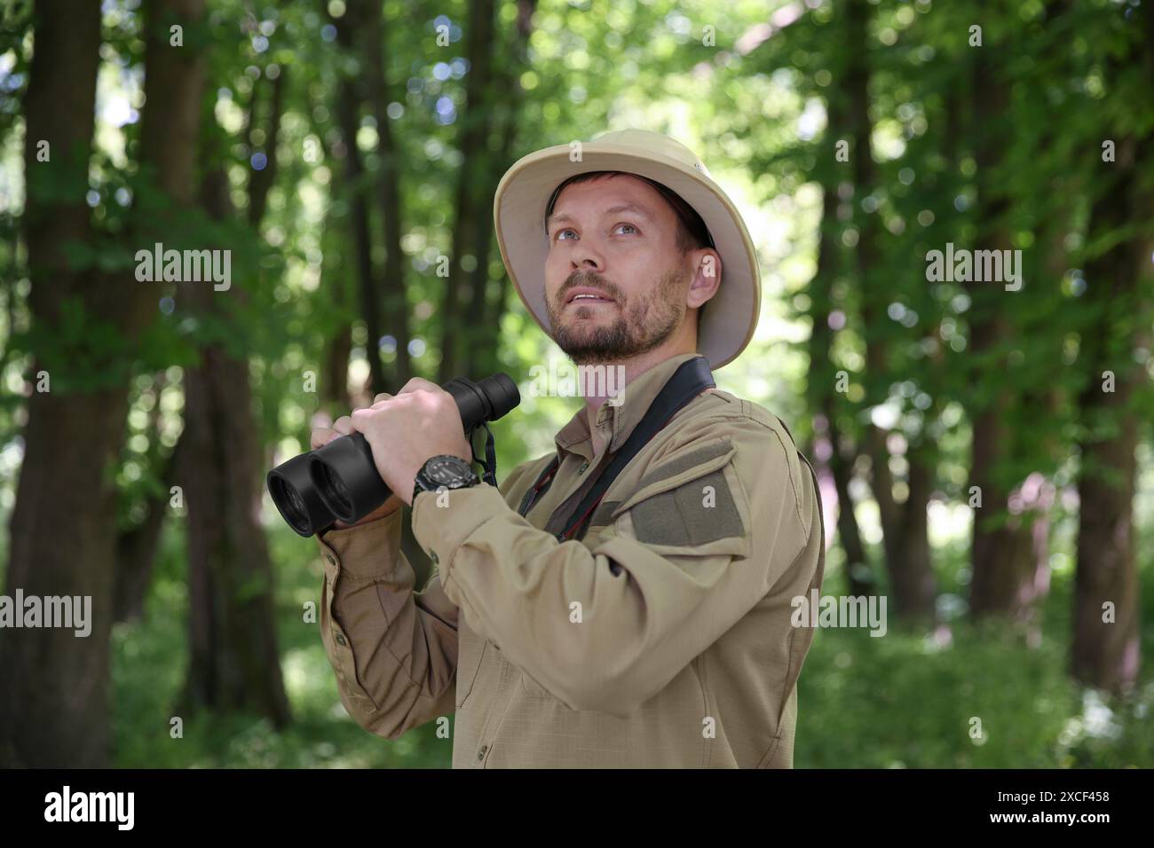 Forester with binoculars examining plants in forest Stock Photo
