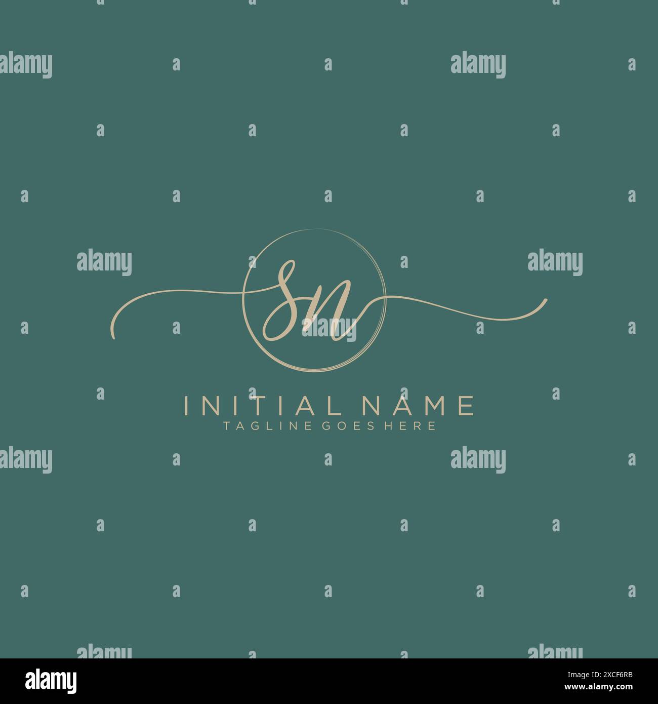 SN Initial handwriting with circle template Stock Vector