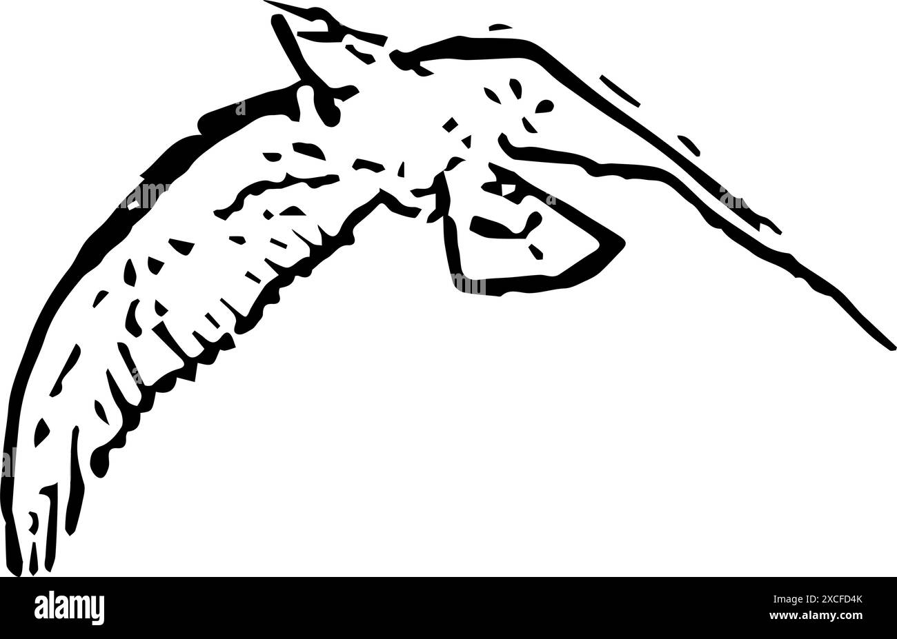 bird pigeon vector outline, crow bird outline vector Stock Vector Image