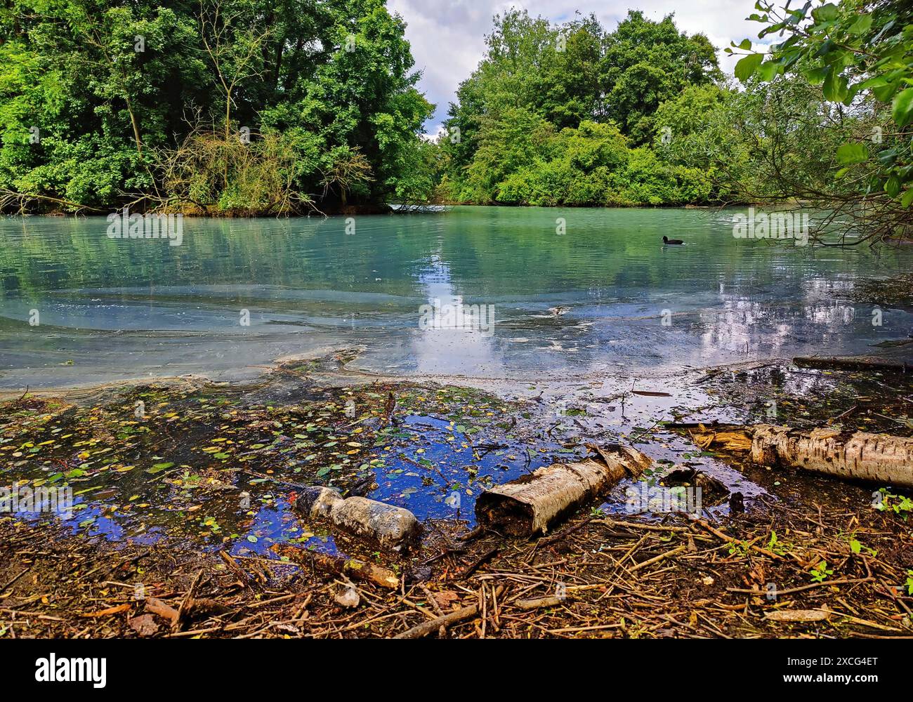 Harpener Teiche, also known as Werner Teiche, still water with milky