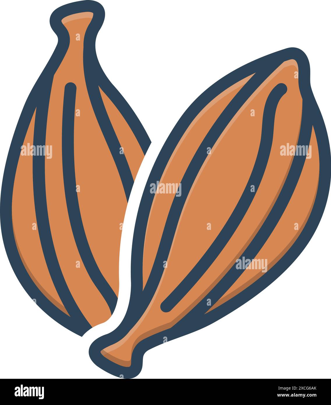 Black cardamum Stock Vector Images - Alamy
