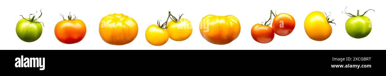 Set of green tomato isolated on white background Stock Photo - Alamy