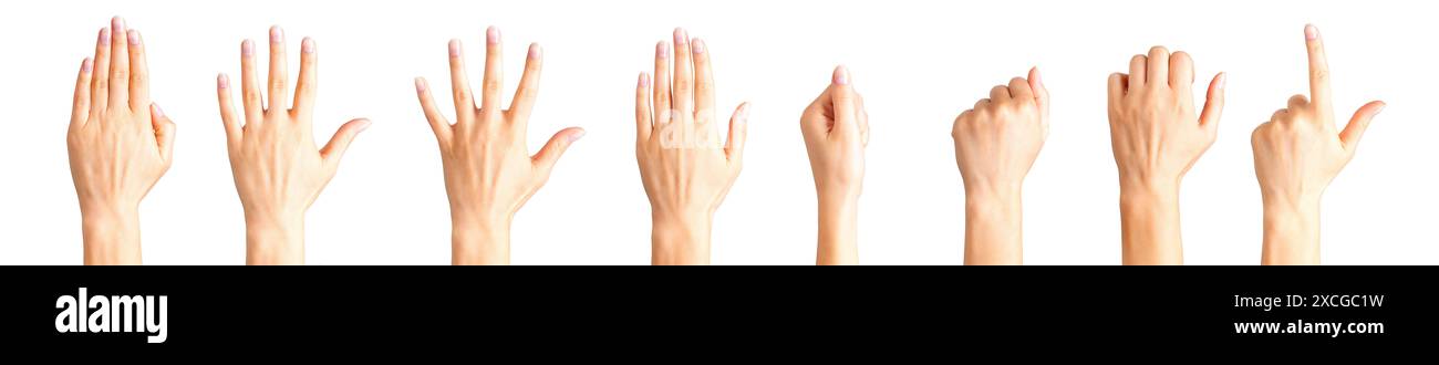 Set of woman hands showing different gestures, pointing and showing ...