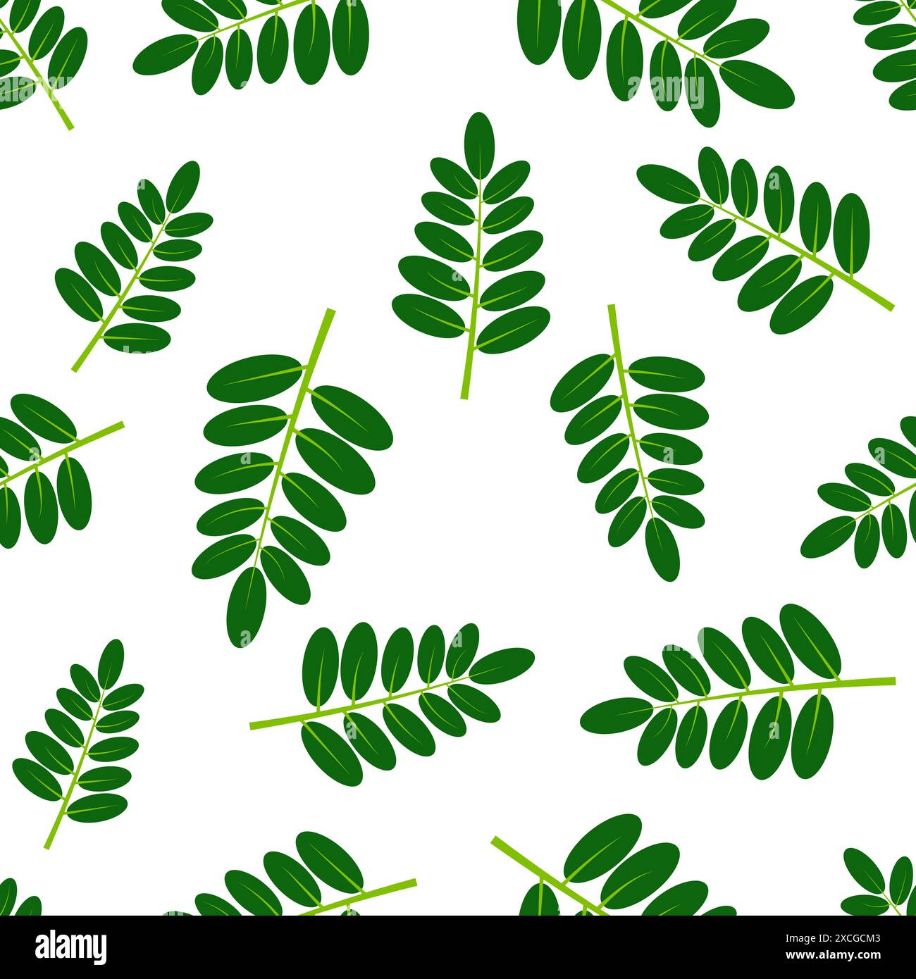 Seamless green pattern hi-res stock photography and images - Alamy