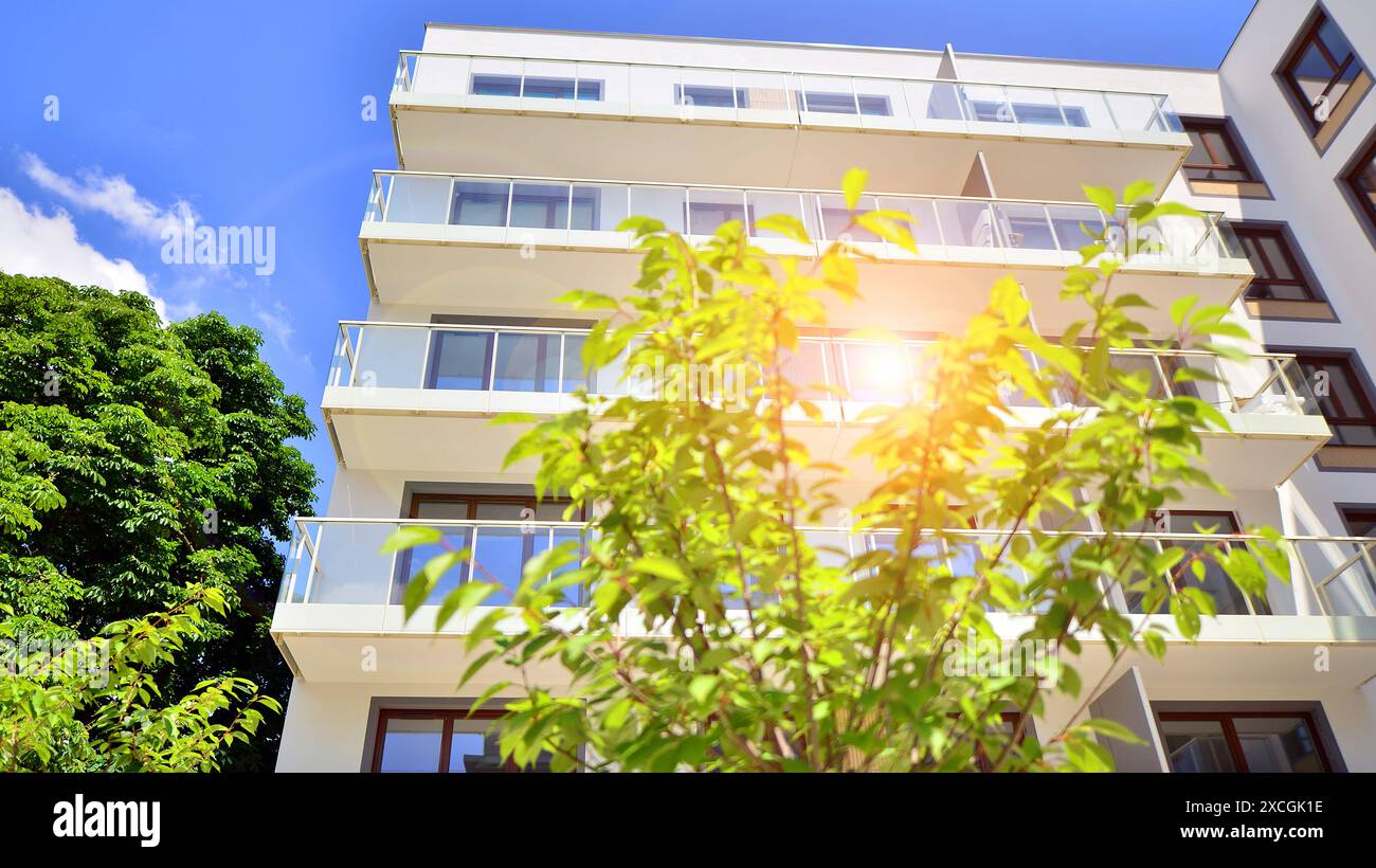 Picture of 27 Tips & Tricks for Sustainable Apartment Living - Impactful Ninja