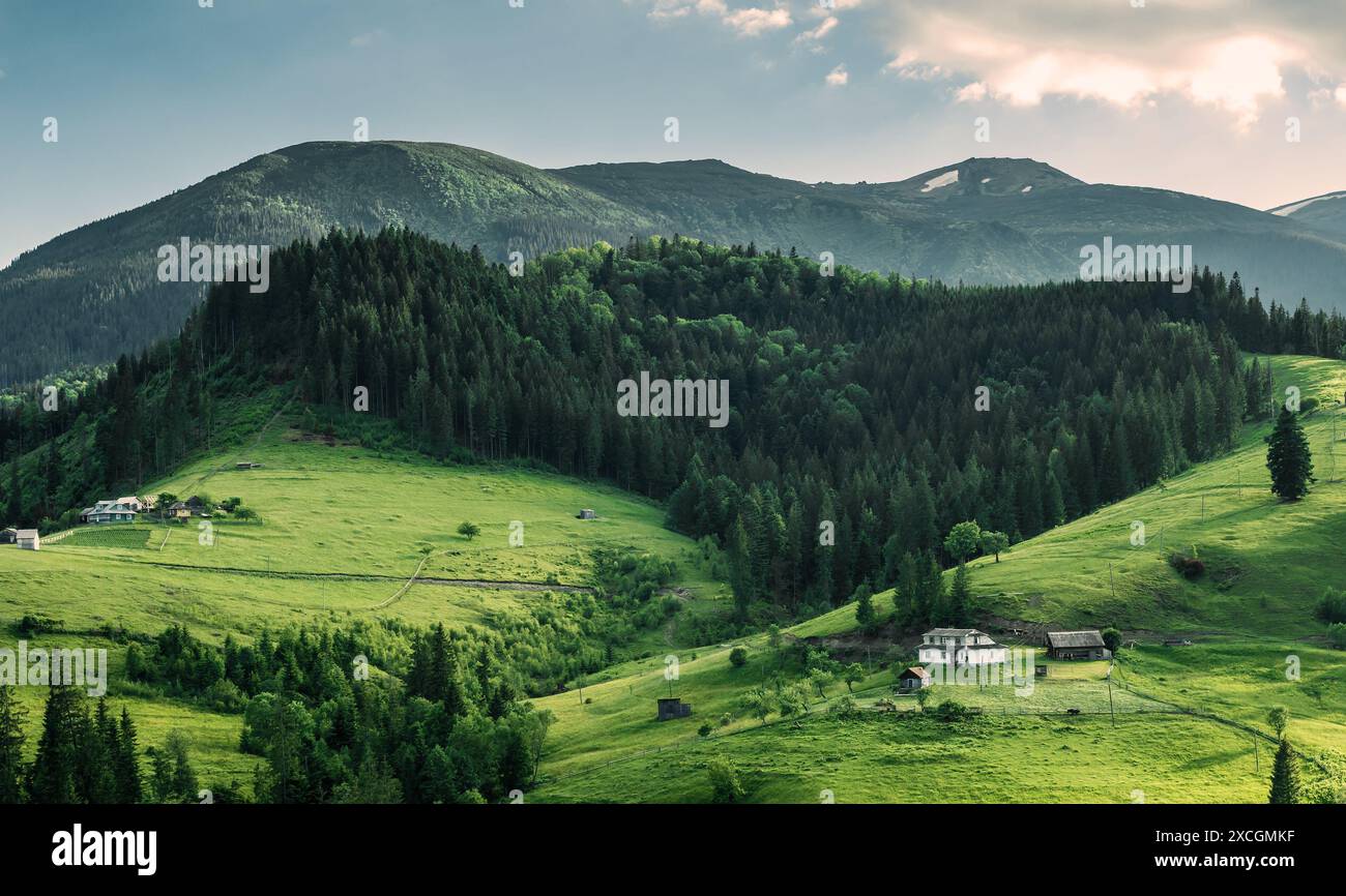 Scenic mountain landscape, summer green meadow Stock Photo - Alamy