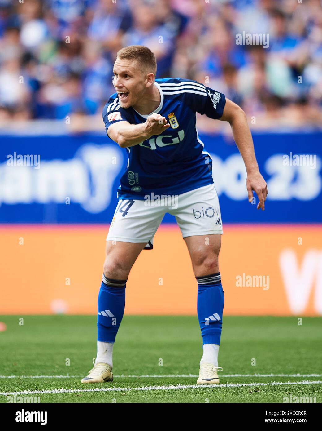 Alexandre Zurawski 'Alemao’ of Real Oviedo reacts during the LaLiga Hypermotion match between Real Oviedo and RCD Espanyol at Carlos Tartiere Stadium Stock Photo