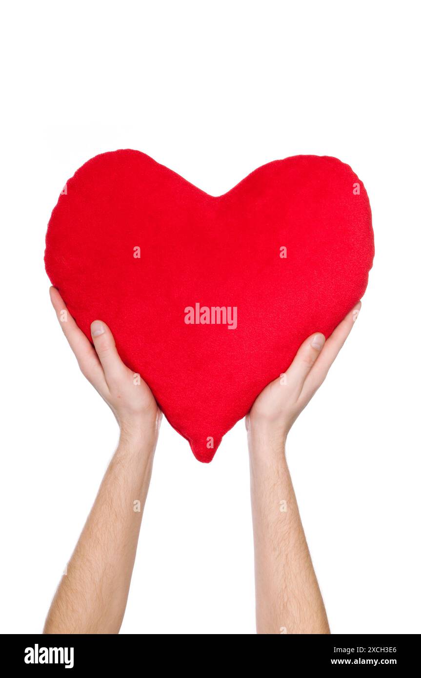 red heart in the hands of a white background Stock Photo - Alamy