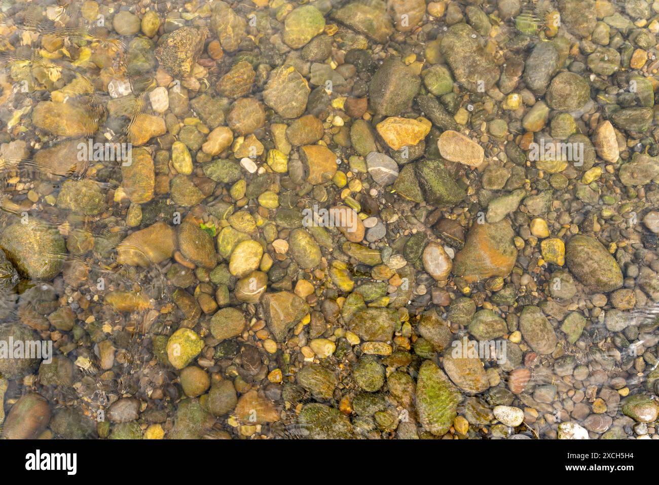 Pebbles on the river bed in a shallow part of a river. Just a few ...